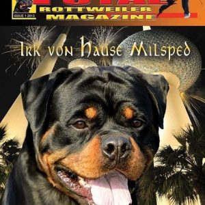 Issue 1 of 2013