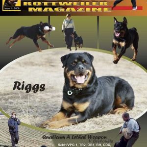 Issue 1 of 2009