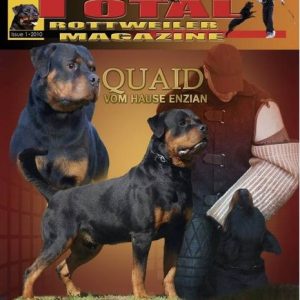 Issue 1 of 2010