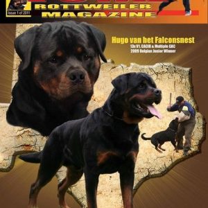 Issue 1 of 2011