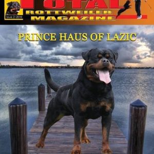 Issue 2 of 2010