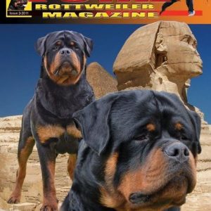 Issue 2 of 2011