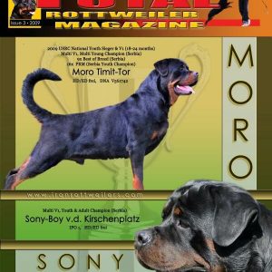 Issue 3 of 2009