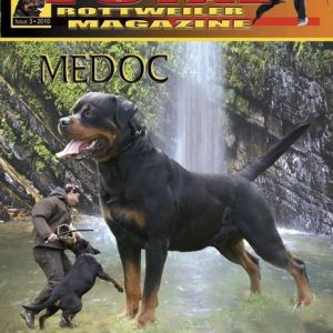 Issue 3 of 2010