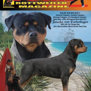 Issue 3 of 2011