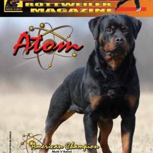 Issue 3 of 2012