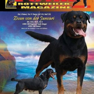Issue 3 of 2013