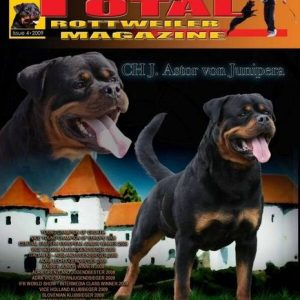 Issue 4 of 2009