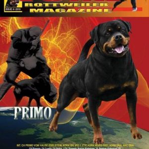 Issue 4 of 2010