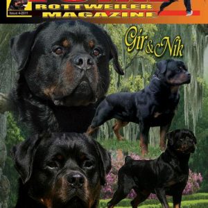 Issue 4 of 2011