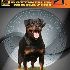 Issue 4 of 2013