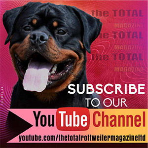 Subscribe to TTRM on YouTube