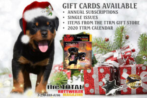 Gift Certificates