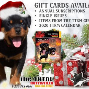 Gift Certificates