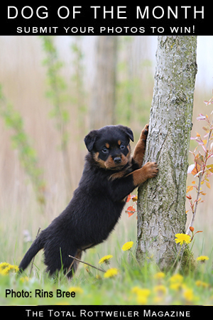 Photo Contests - The Total Rottweiler Magazine