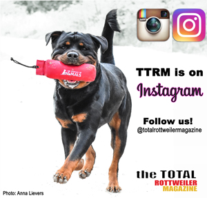 Follow TTRM on Instagram