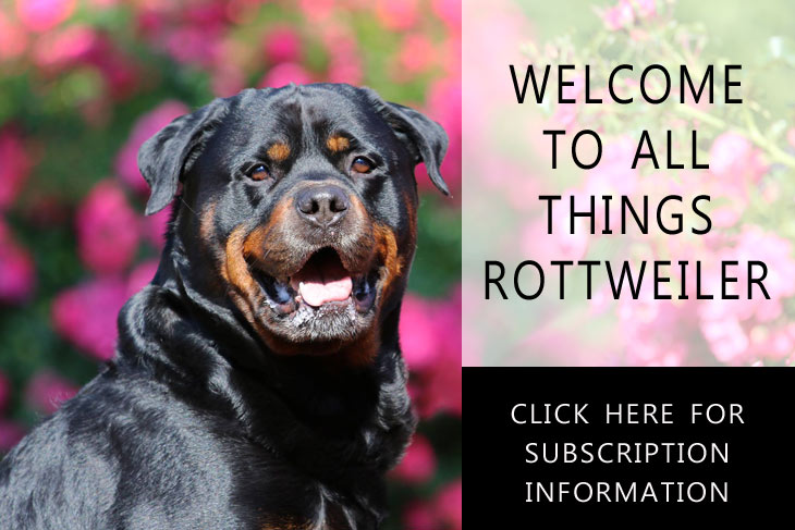 The Total Rottweiler Magazine