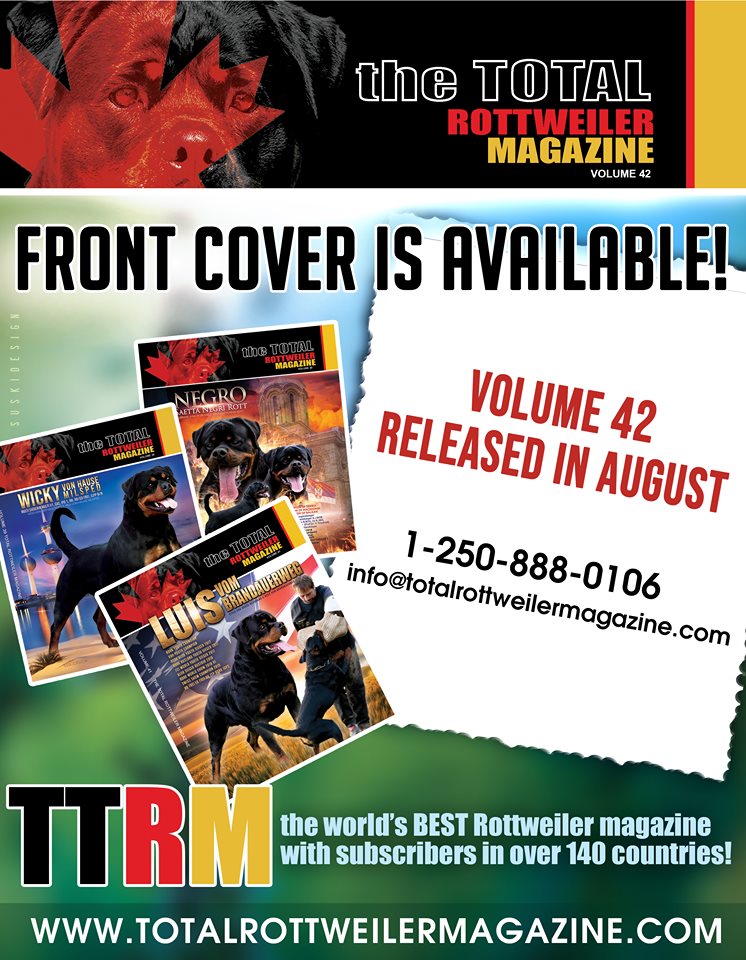 front cover available for website