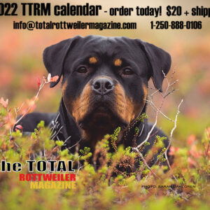 2022 TTRM Calendar
