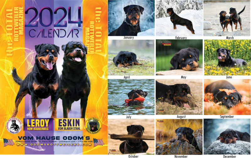 Total Rottweiler Magazine Calendar!